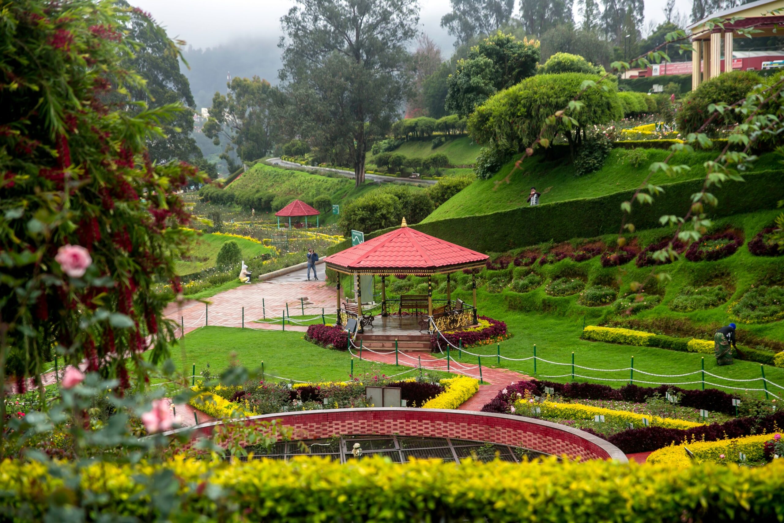 ooty place