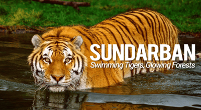 Tips-for-Sundarban-trip