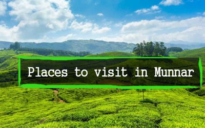 places-munnar